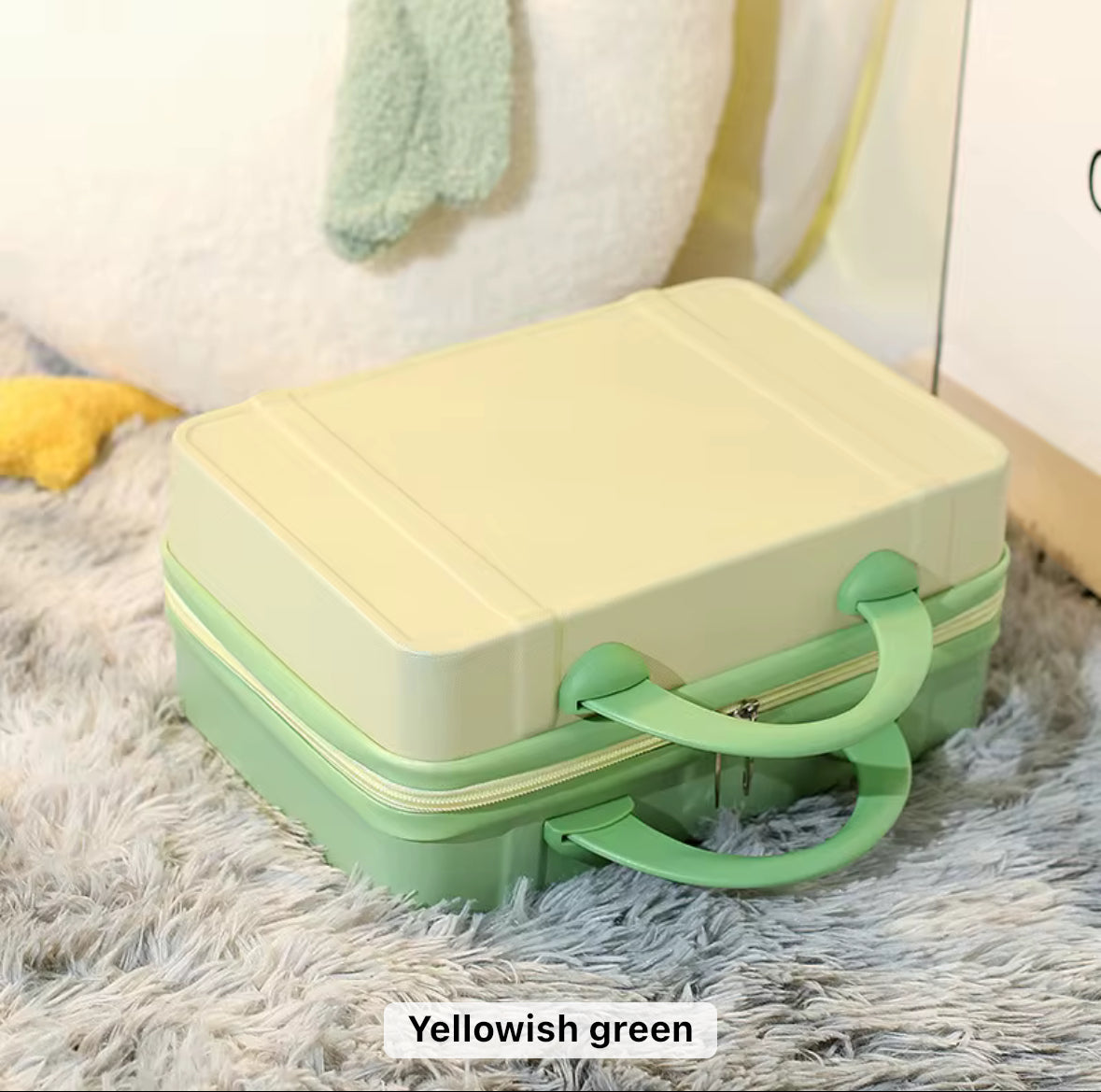 Carryon Case with Elastic Fixed Strap Zipper Closure and lock